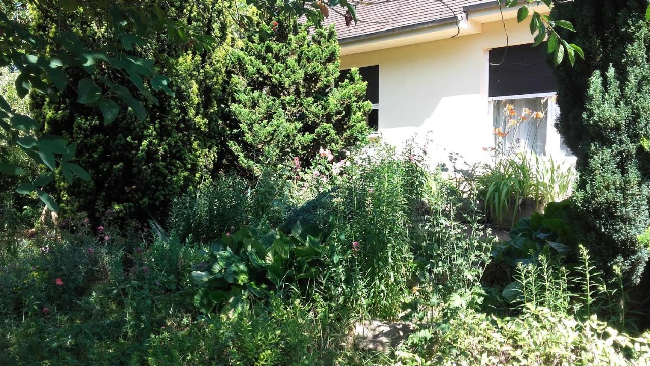 Du Jardin Fleuri Bed & Breakfast