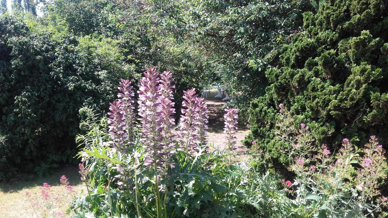 Du Jardin Fleuri